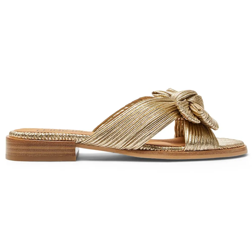 Rhapsody Flat in Gold Pleat